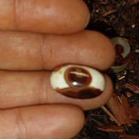 وينه الي يدور قديم وانتيك وشغل نار من اول ماتحمله مكلد داوودي مهبهب حج...