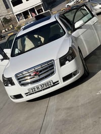 امكراند • ٢٠١٣ • بدون صبغ