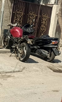 قرش ٤٠٠ • خاص