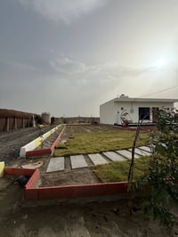 مزرعة • الديوانية • ٤٦٠م