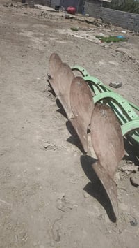 ميسان • ١٢ فدان • للبيع
