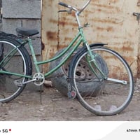 باسكل • حجم ٢٦ • للبيع