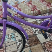 باسكل • ٢٠٢٢ • حجم ٢٠