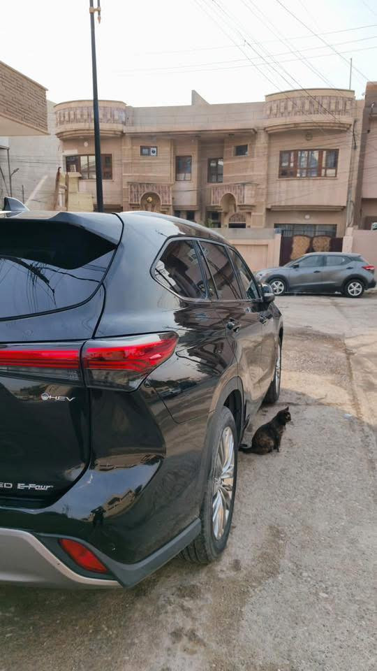 TOYOTA HIGHLANDER GLE HABRIDE 
2.5 FULL 360 2025⚡️⚡️

تويوتا هاي لاندر 2500 سيسي فول مواصفات هايبرد 2025 

ياباني 
البيع نقدا فقط لايوجد لدينا بيع بنظام الاقساط

المواصفات‼️

*حجم المحرك 4CYLINDER 2.5L ✅
*مرتبط بناقل حركة أوتوماتيك✅
*مفتاح التشغيل بصمة ✅
*بانوراما✅
*اريل نفكيتر ✅
*حساسات أمامية ✅
*حساسات خلفية ✅
*رادار✅
*لايت زينون + LED ✅
*كشافات ✅
*بك لايت LED ✅
*حجم الاطار 235/55R20✅
*ويل كب 20✅
*4 دسك✅
*حساسات ضغط الاطارات ✅
*اشارة في المرايا الجانبية ✅
*المرايا قابلة للطي كهرباء✅
*ماسحة خلفية ✅
*عدد AIR BAG 9✅ 
*هاند بريك كهرباء ✅
*ا ABS✅ 
*دشبول ديجتال ✅
*شاشة Apple Car play ✅
*5كاميرات 360 درجة✅ 
*مثبت السرعة Cruise ✅
*المودات والاوامر الصوتية✅ 
*ا Bluetooth ✅ 
*مخرج منفذ الطاقة ✅
*تتسع المقصورة ل 7 ركاب✅
*المقاعد جلد+كهرباء✅ 
*ثلاث قطع تبريد✅  
*تحديد المسار✅
*أوضاع القيادة Drive Mode ✅
*أوتو هولد ✅
*نظام مانع الانزلاق ✅
*حاملات الأكواب ✅
*تطعيم الدواخل ألمنيوم ✅
*داخل ابيضّ توصي خاصة ✅
*شرط التحويل ✅
الاستفسار /*********** اثير
