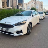 كادنزا فول • ٢٠١٧ • رقم اربيل