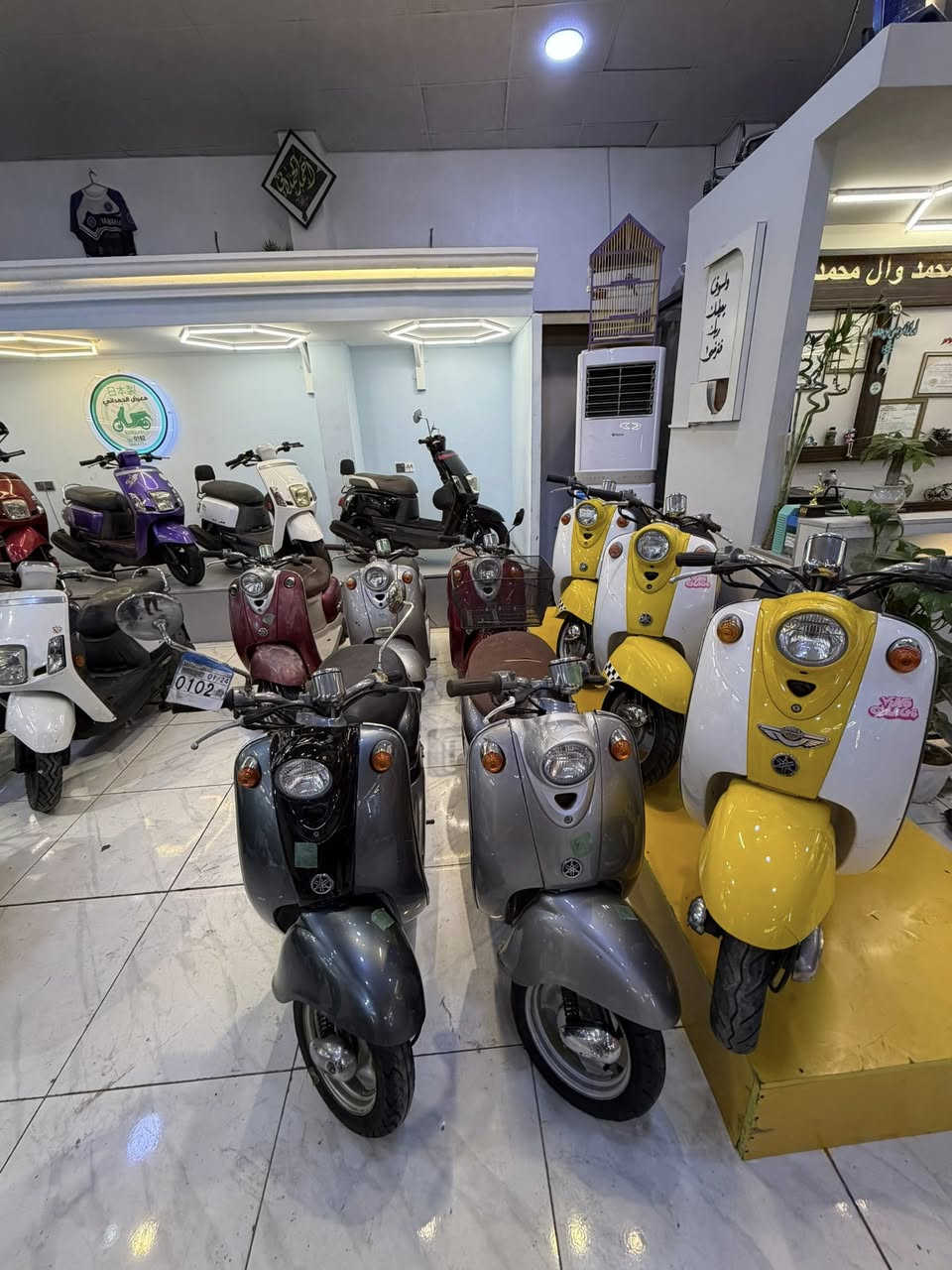 وصلت الوجبة الجديدة ✅  وكالة الحمداني  (نقدا +اقساط) 
، شمتاني بعد الحمداني للضمان عنوان  
، مع ضمان صيانة مجانية لمدة 4اشهر وضمانة أكيد لمدة ٥ سنوات ستندر بلاد   . 
العنوان كربلاء شارع الجاير السايدين الجديدات 
الاستفسار *********** مجمع ومعرض الحمداني
               كل هله بيكم ❤️.                 (لايك+متابعه )👍
