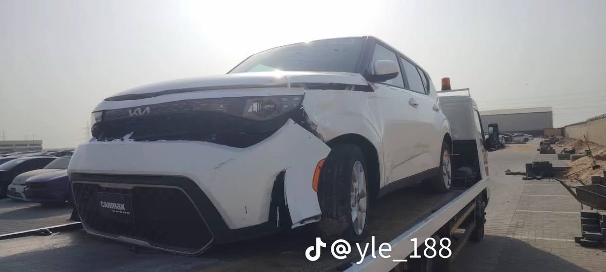 صول 2023 وأرد أمريكي
***********
