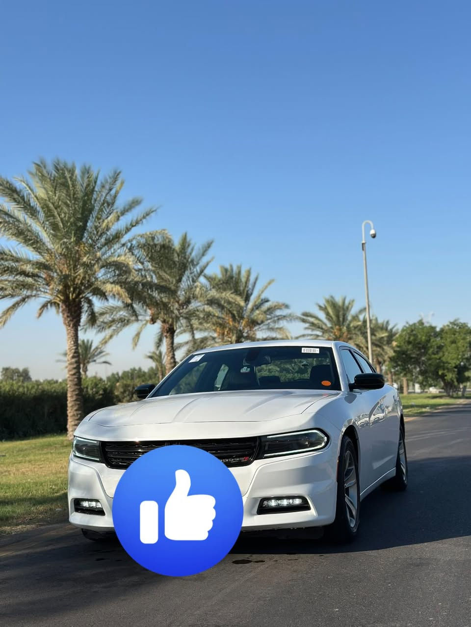 مري جاجر رادار وحساس. بلاك توب 🔛***********👍
