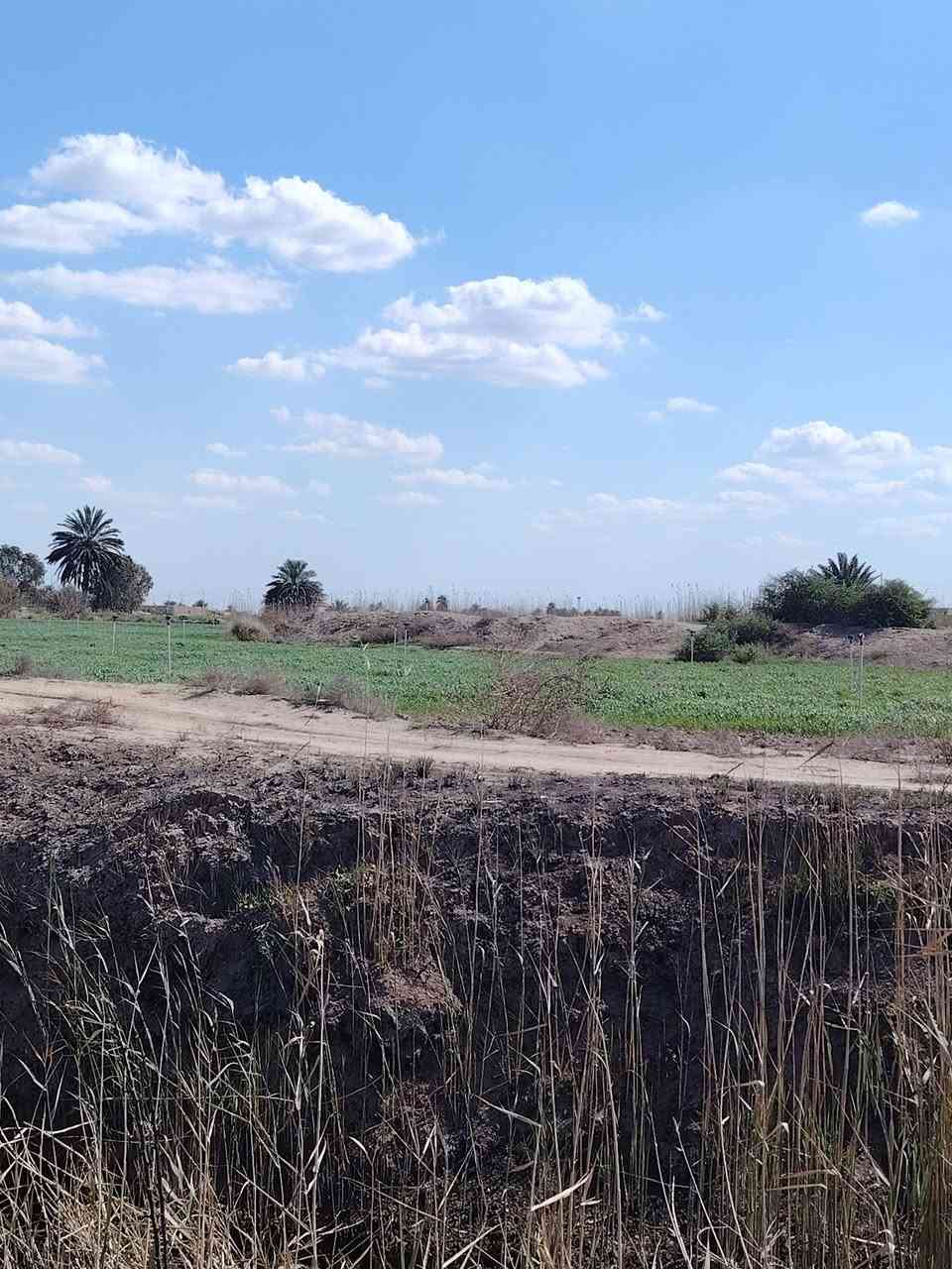 كل. 4دونك بسند مستقل. طابو ملك صرف ☎️12 دوانم للبيع على المشروع الاراضي مباشرتا
العنوان تاجي ذراع دجله تباع دونم فما فوق 
صايره على شارع 10 مترات وواجهية الدونم 
الواحد 40×60 مربع منطقة امان وتكدر تعيش برفاهيه
وترفيه سعر الدونم الواحد 23 مليون.وبيه. مجال جنس الارض طابو
ملك. صرف سند 25 فتح بيان بسم المشتري اي تواصل او استفسار
على رقمي متوفر بي واتساب *********** 🌴🌳هاي الصفحه مالتي مال الكاع دوانم صوره وصوت فيديو مال ابو حوراء الا ستثمارالعقاري عله التكتوك عيني عمو راسلني خاص تمام بمطقه شيخ عامر منطقة البعساف يم مديرالمن عندي السعر 7مليون الدونم الواحد وبيه مجال لحد 70مليون الدونم الواحد وبيه مجال كلشي وسعره وخدماته
