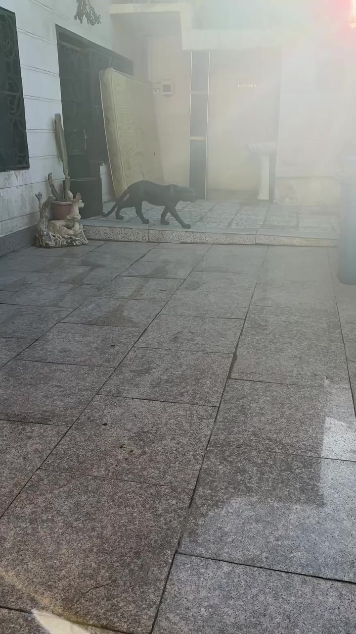 السلام عليكم  بيت للبيع في منطقه الزعفرانيه قرب جامع الصدرين قريب على الشارع العام مساحته 250 طابو صرف متكون من 3 غرف نوم طابق ثاني غرفتين طابق ارضي مضيف جبير وباقي التفاصيل تواصل وياي واتساب موجود ***********
