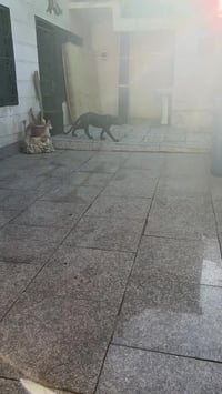 بيت للبيع في منطقه الزعفرانيه قرب جامع الصدرين قريب على الشارع العام م...