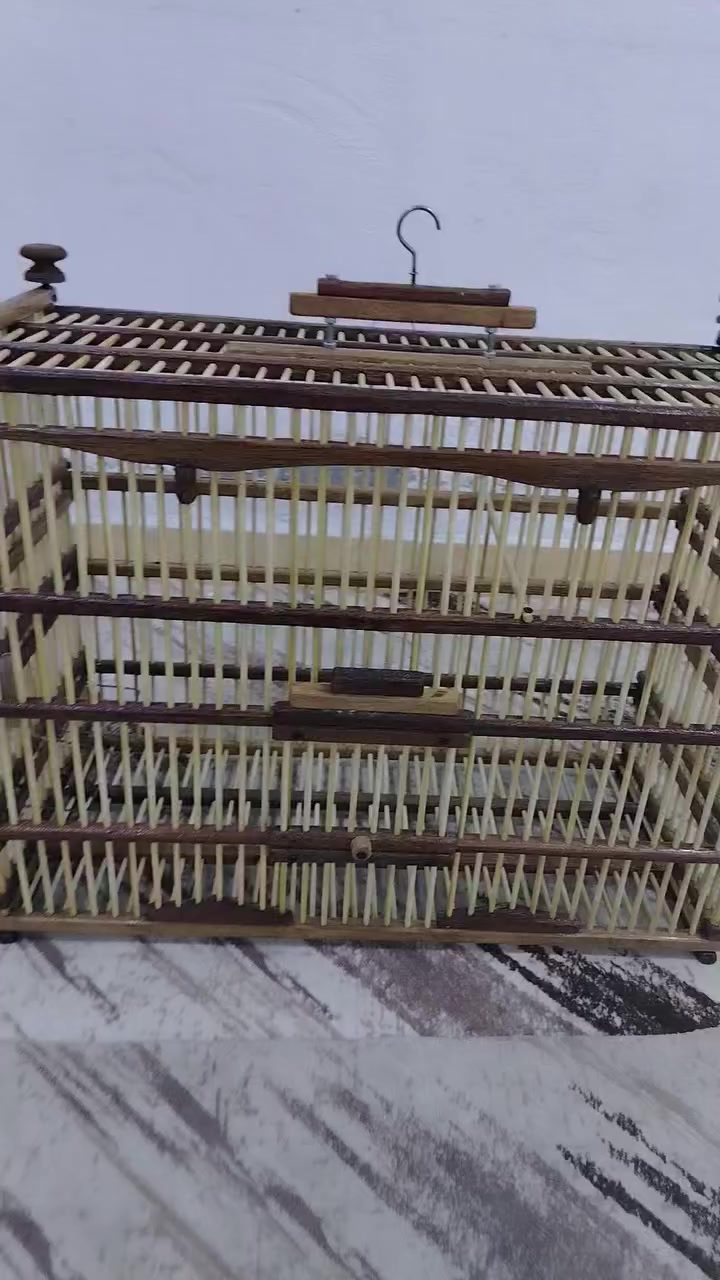 قفص بورمي كله صاج شغل بيت درجه اولى السعر 120 وبي مجال قليل والي ايريد يستفسر خاص واني بخدمة الطيبين ❤️


**إذا كنت صاحب هذا الإعلان وتريد حذفه لأي سبب، رجاءا أرسل رسالة إلى الدعم الفني**