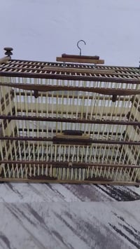 قفص بورمي • كله صاج • درجة أولى