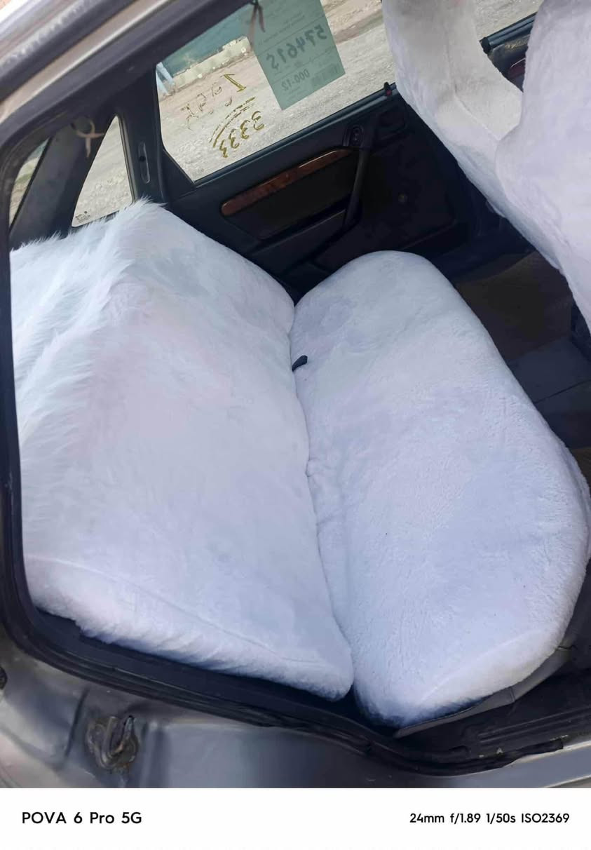 ***********
*********** Singapore
