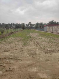 دونم ونصف • سند ٢٥ • واجهه ٢٠م