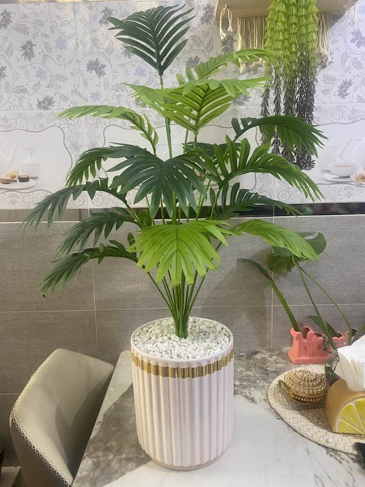 اشجار السايكس الحجم الكبير يتوفر خدمه توصيل 🚚


**إذا كنت صاحب هذا الإعلان وتريد حذفه لأي سبب، رجاءا أرسل رسالة إلى الدعم الفني**