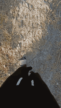 سلام عليكم أرض زراعيه للبيع أربعه دونم الشراي يتصل ع رقم ***********
