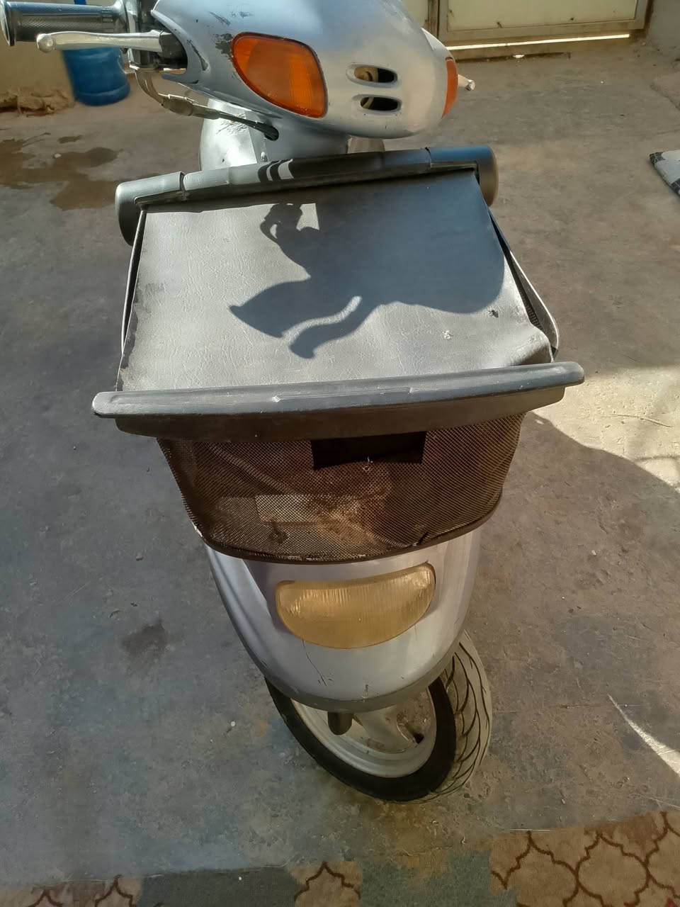 درجه منغولي ام سله البيع السعرخاص وتصل***********
