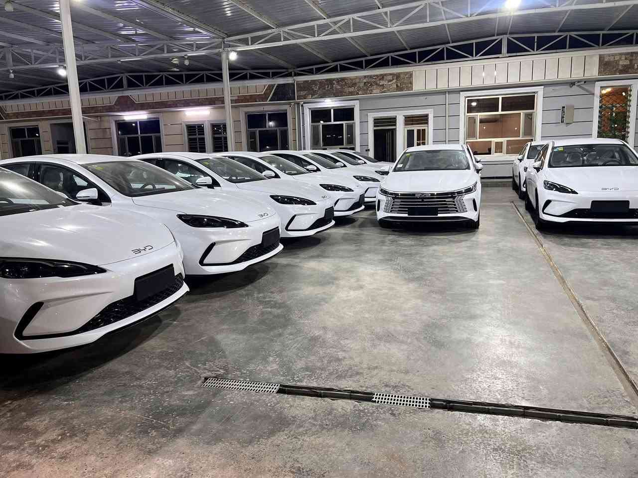 سلام عليكمBYD 2025زيرو  مرقم بغداد وجاهز كن بلاص سيل05 دستروير05 و تيوتا كروز و نيسان سنترا سعر مناسبه العنوان بغداد اليوسفيه ***********
