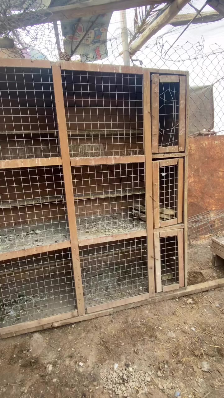 خانات ماهت السته للبيع السعر خاص


**إذا كنت صاحب هذا الإعلان وتريد حذفه لأي سبب، رجاءا أرسل رسالة إلى الدعم الفني**