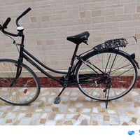 باسكل عبدالحليم • حجم 26 • حي الوحده