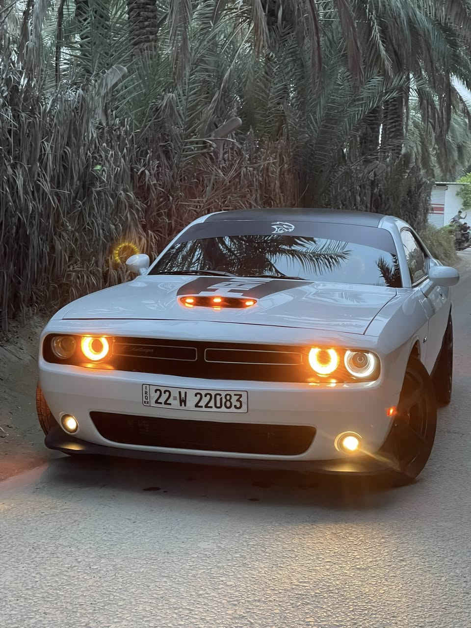 جالنجر 2023 جاهزه ع اخر حبه
كشنات دوشمه جلد اصلي 
دركه كلها كاربون 
محرك 5.7 (8)
الغرفه كلها مطعمه بكاربون 
عليها برمجه وسيفتي حمايه 
داون بايب جديد بدون لحيم 
برمجه طلقات 
شوته رياضي 
ماشيه ٢٥ الف ميل 
وياله وتخم تايرات جدد 
فجوج بريكات 
وهواي اضافات 
مواصفات 
شفتات ستيرن شاشه وسط 
السياره تستقبل بانزين عادي 
دبلات اربع صفر بلاديه 
كاعيات حضن 
السياره بريحه الوكاله 
مرقمه بشهر الواحد هزه وفحص جدد 
تحويل ثاني يوم 
حادث السياره 
جاملغ وبنيد فقط لا رصعه ولا شخط بدي السياره 
شاصي الامن فقط سحب بدون لحيم وكص كلش بسيط 
مكاني بابل شارع السياحي 🏎️🏎️🏎️
السعرررر ١٦٨ اذا اكو هيج سعر من لزاخو للفاو بهيج حادث انطيها بلاش 
***********
