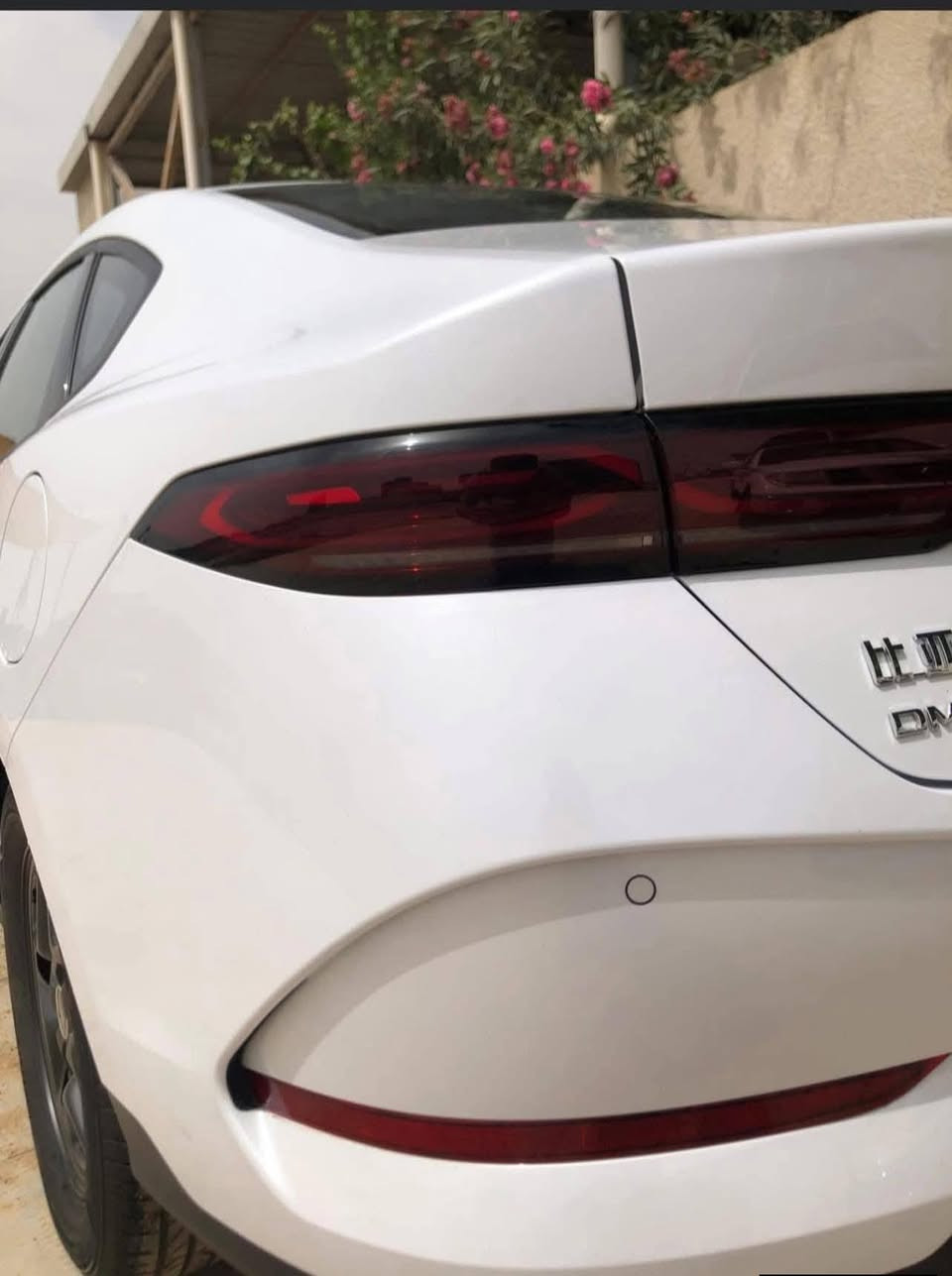 ✅ BYD Qin PLUS  2025
ماشيه  ألف على كهرباء🔋 و ماشيه  300 كم على محرك

عداد المسافة الكلي  ألفين كيلو متر كسر زيرو ☑️ 

داخل جلد ابيض ☑️ 

  💥 مرقم بغداد رقم مميز تسلسل مرتب💥  

كفاله عامه ☑️ 

العنوان بغداد / الشعب خلف نادي النفط 

الاتصال ☎️ 

*********** 📞

