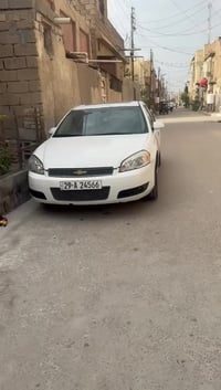 امبالا • ٢٠١٣ • البصره