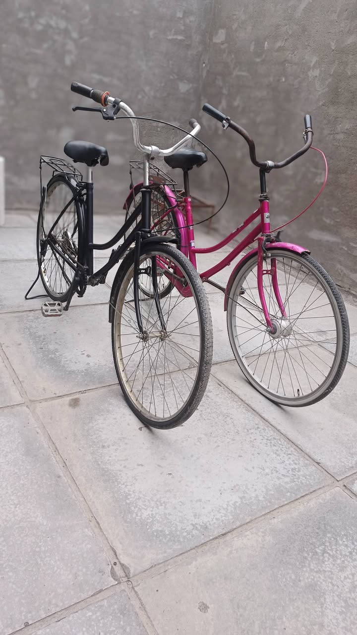 سلام عليكم شباب بايسكلات 3ثنين بناتيات واحد فكسد  
ال بناتيات نقص الوردي واير ويده مال بريك امامي 
الاسود بريك امامي يراد له  
وياله موس عدله حجمهن26 
الوردي حساس 
الاسود عادي 
الفكسد بي بريك مكينه وموضح كدامك 

مكان بغداد بياع لتواصل ***********
