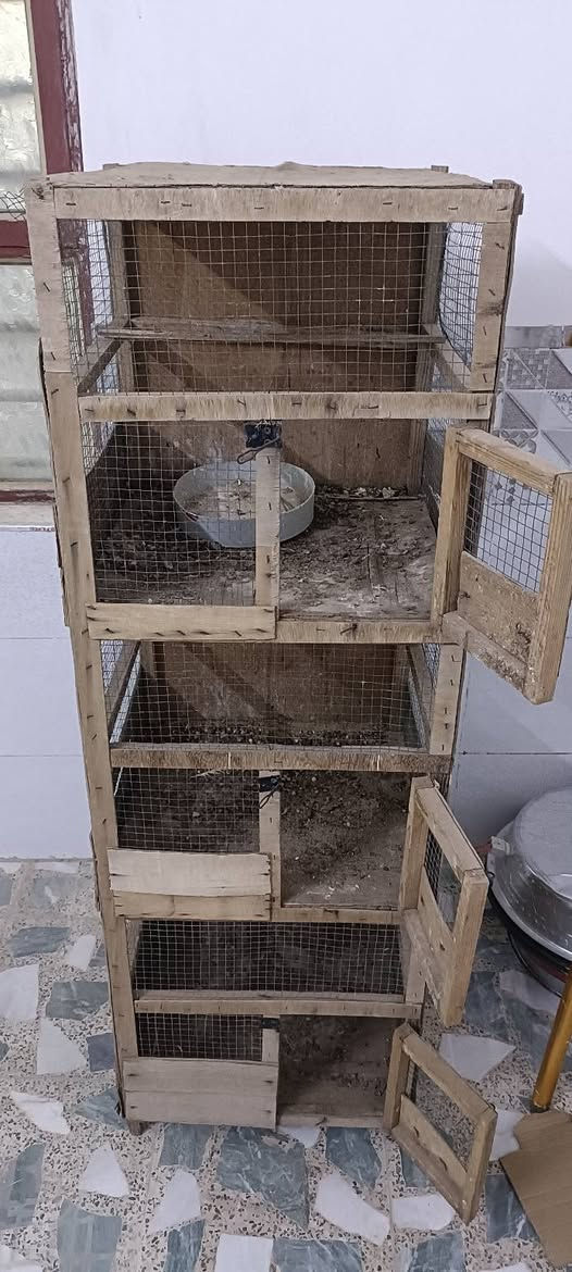 للبيع حلات عدد 35 خانه ام 3 خانه ام وحده مكان بغداد كماليه 
***********
