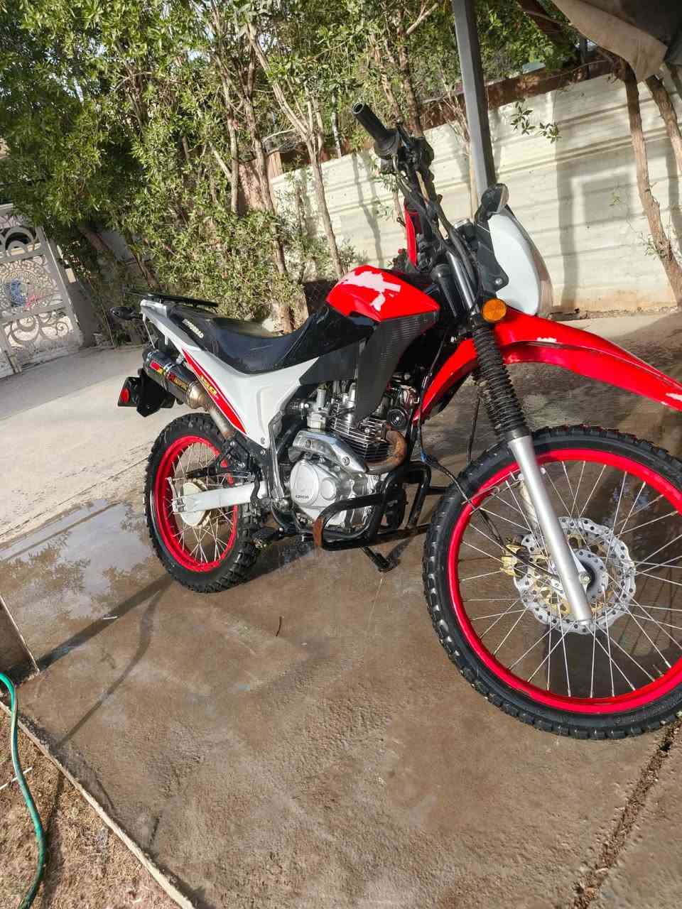 السلام عليكم دراجه قفاز مكفوله كفاله عامه مرقمه مكينه خرسه جيب فيتر وتعال افحص العنوان بغداد الشعب الرقم ***********متواجد واتس
