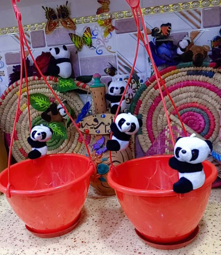 يتوفر لدينا جميع اكسسوارات نباتات 🕊️🐼🦊 توصيل كل محافظات العراق 🚕 
الزرع لعرض فقط 🪴 
يتوفر جمله ومفرد 🦊🐼 
سارع لحجز كميه محدوده 🎊 
حجز على خاص ☎️
☎️***********📞
