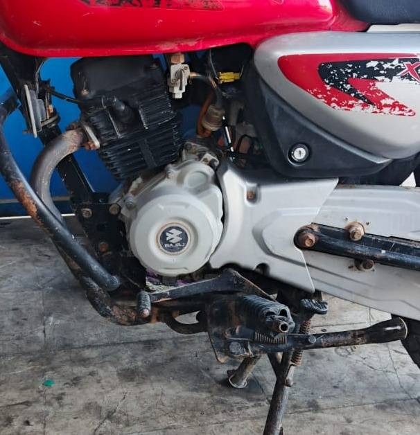 مكينه بوكسر فحل لبيع ***********
