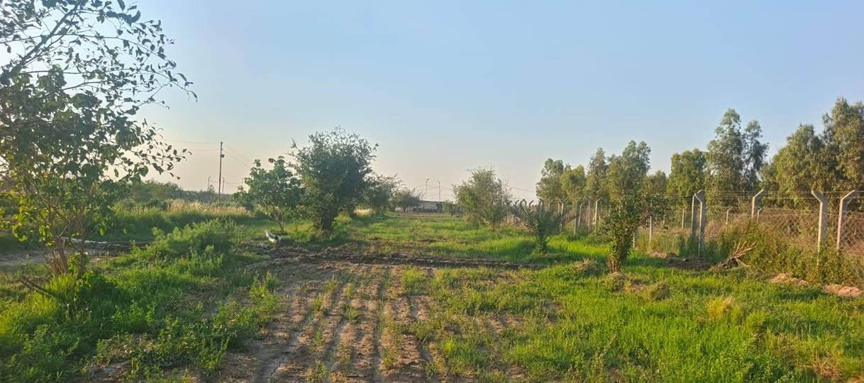 مطلوب فلاح في بستان يحتوي على دار سكن وطاقه شمسيه  طريق الدغاره قرب التسفيرات الخمسه دونم  اخوان  بدون راتب  هوه يسكن  ويزرع وستفاد  الي يحب يتواصل  هذا الرقم واتساب *********** اخوان  لاتخلي هدفك السكن وبس وبعدين نتفاشل مكلف بل نشر
