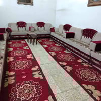 تخم درجة اولى • ٢٢نفر • العباسية النجف