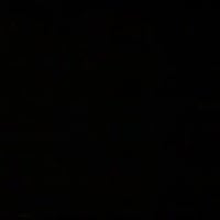 شيفروليه سيليبريتي • يوروسبورت • الثمانينات