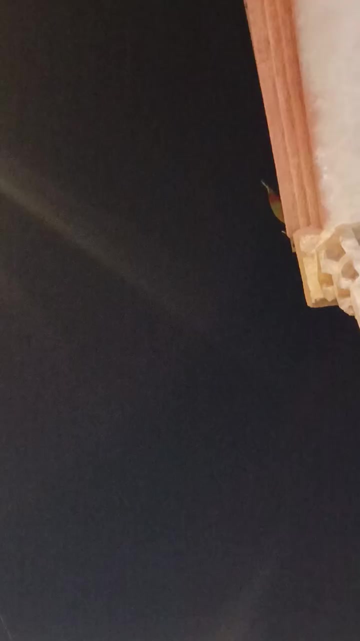 دراجه للبيع بدون شاحنه
ونقصها بريك كدام مكاني بصره 
السعر 300


**إذا كنت صاحب هذا الإعلان وتريد حذفه لأي سبب، رجاءا أرسل رسالة إلى الدعم الفني**