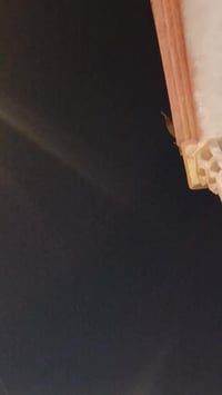 دراجة كهربائية • بدون شاحن • بريك قدام