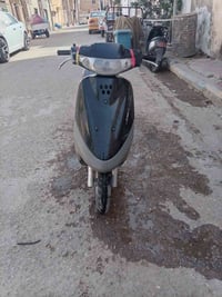 منغولي • سلف • مدينه