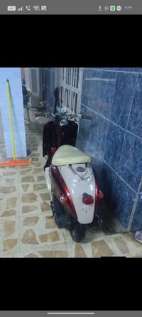 ماطور عبد حليم • فحل • يحتاج بطارية