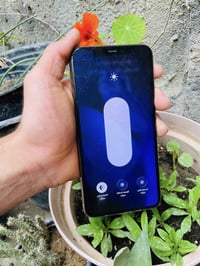 آيفون ١١ برو ماكس • ٢٥٦ • الضهر مفطور