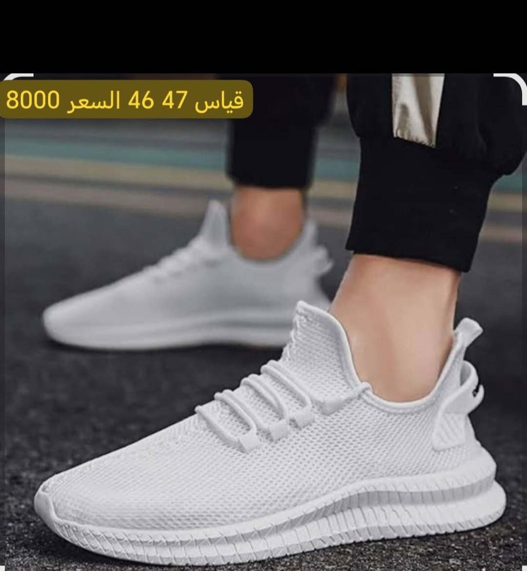 كل قطعة قياس وسعره بدون توصيل


**إذا كنت صاحب هذا الإعلان وتريد حذفه لأي سبب، رجاءا أرسل رسالة إلى الدعم الفني**