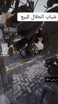 السلام عليكم دراجه للبيع تعمير موديل 2025 الشاصي ارشه 14 دراجه مفوله مقفوله كفاله عامه تعميرها عد علي سعد السعر خاص رقمي واتساب ***********
