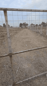 سلام عليكم دونم سند ٢٥ عل طريق الشعله قريب عل معمل الغاز واجهيه ٣٥ للبيع بيع مستعجل السعر ١٨٠ مليون والمو شراي لا يتصل *********** عندي اللكيشن خاص وتفاصيل انطيها للشراي تحويل مباشر
