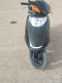 سبيسي ياباني • مكفولة • ماشية ٢٩