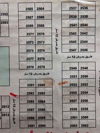 الياسمين • 100م • 5x20