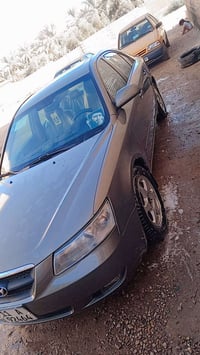 سوناتا • ٢٠٠٨ • مصبوغة جماليه