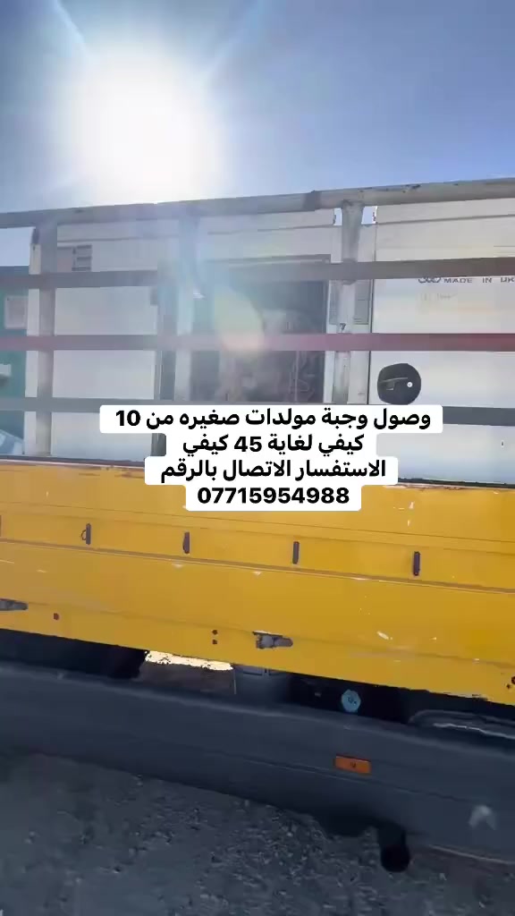 من السعوديه الى كربلاء
