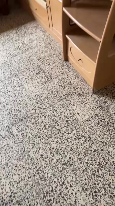 للبيع مكاني بغداد زيونه


**إذا كنت صاحب هذا الإعلان وتريد حذفه لأي سبب، رجاءا أرسل رسالة إلى الدعم الفني**