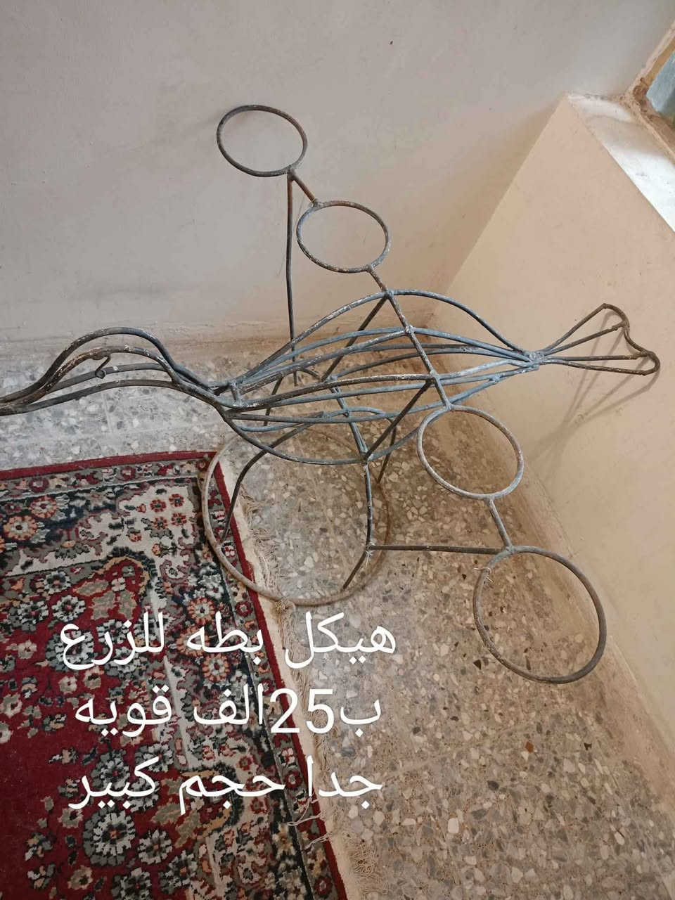 قسم جديد وقسم مستعمل بغداد العامريه بغداد, العراق


**إذا كنت صاحب هذا الإعلان وتريد حذفه لأي سبب، رجاءا أرسل رسالة إلى الدعم الفني**